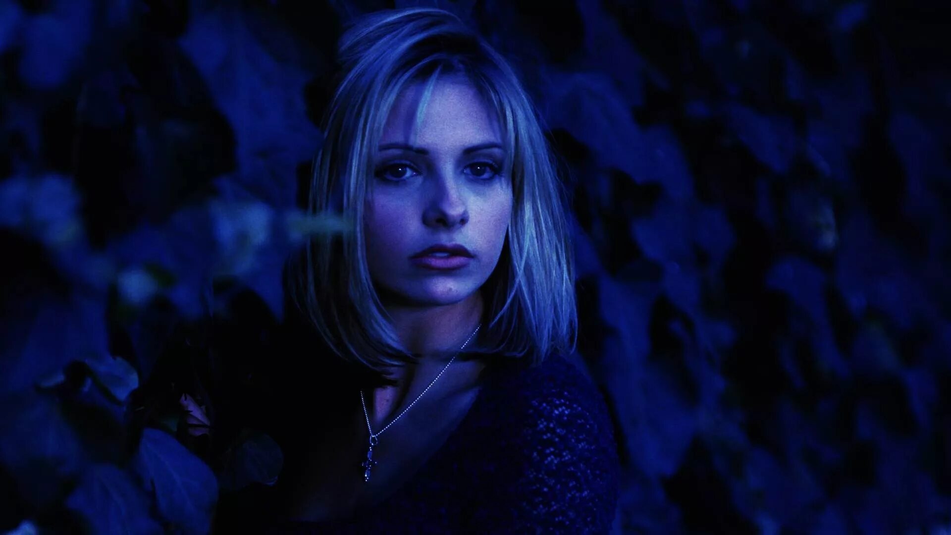 Buffy vampire