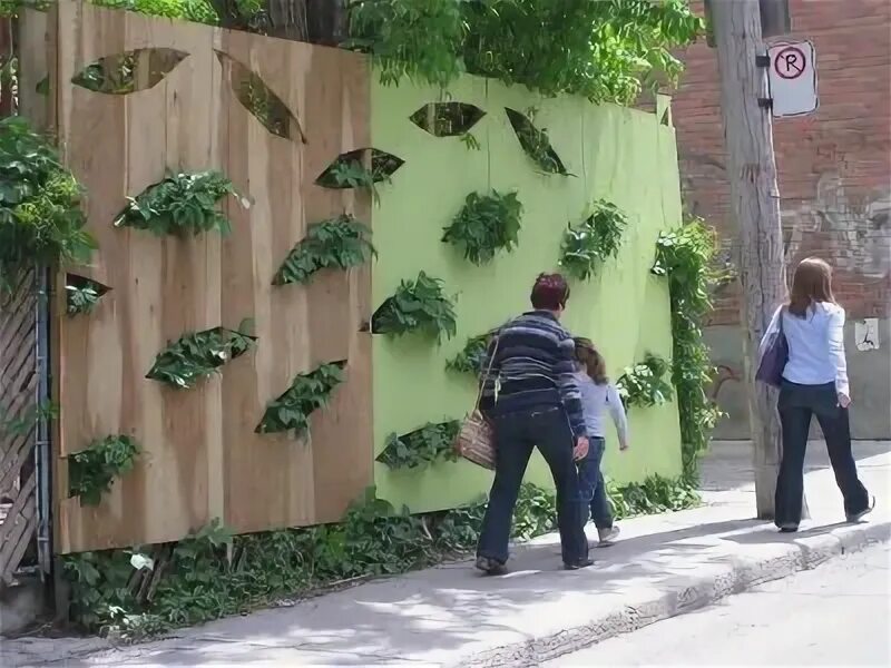 Как скрыть некрасивую. Шпалера вдоль забора. Как скрыть некрасивую. Как скрыть некрасивую. Как скрыть некрасивую.