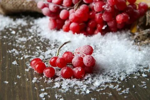 Калина замороженная