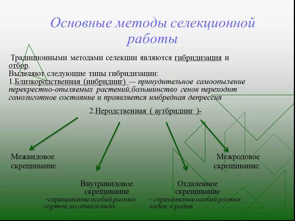 Описание методов селекции растений. Общие методы селекции искусственный отбор. Методы селекции: отбор, гибридизация, полиплоидия. Основные методы селекционной работы схема. Методы селекции отбор и гибридизация.