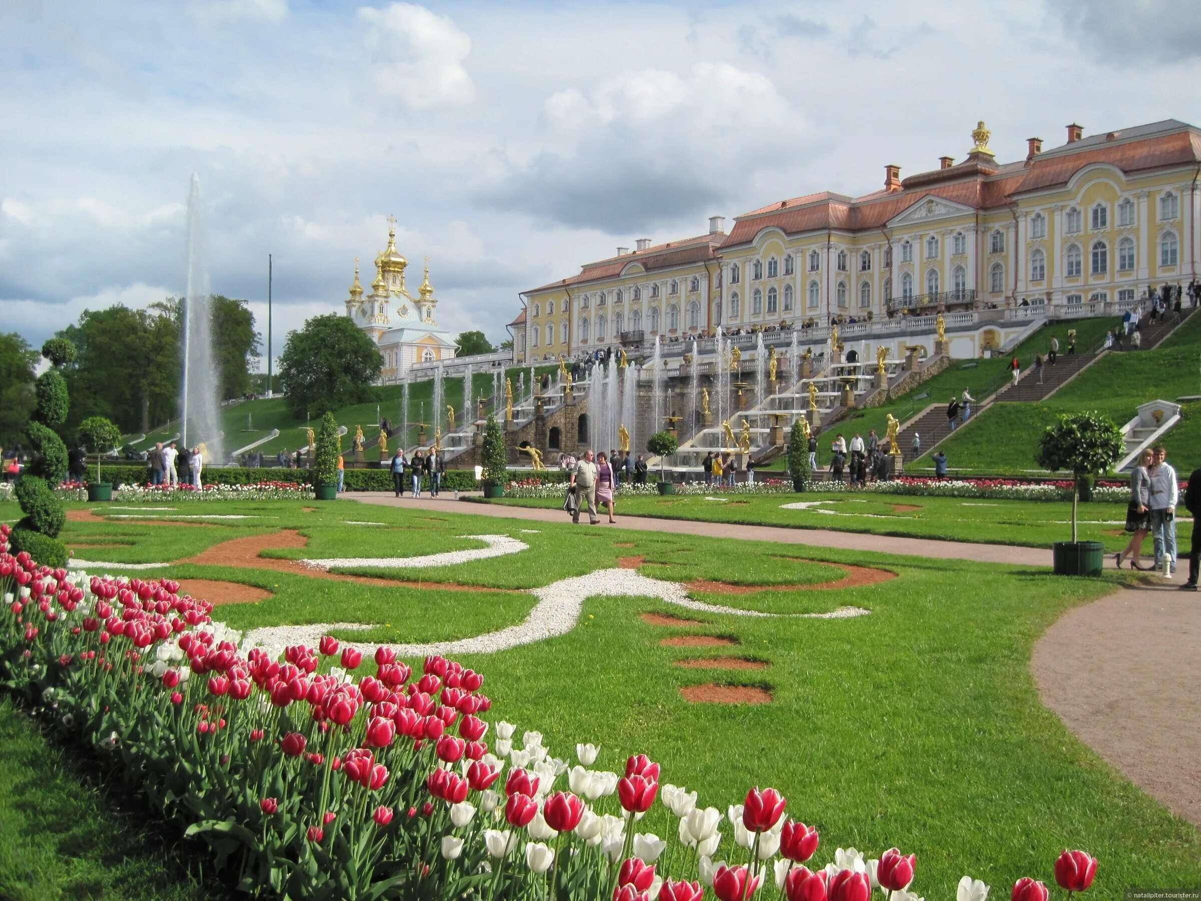 Какой будет май в санкт петербурге. Петергоф май. Петергоф в Санкт-Петербурге весной. Петергоф в Санкт-Петербурге в мае. Александровский парк Петергоф.