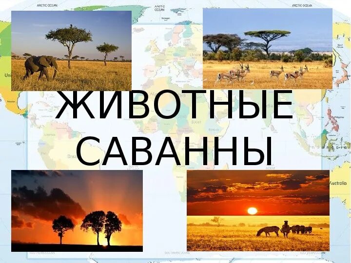 Обобщение по теме африка 7 класс. Обобщение по теме африка 7 класс