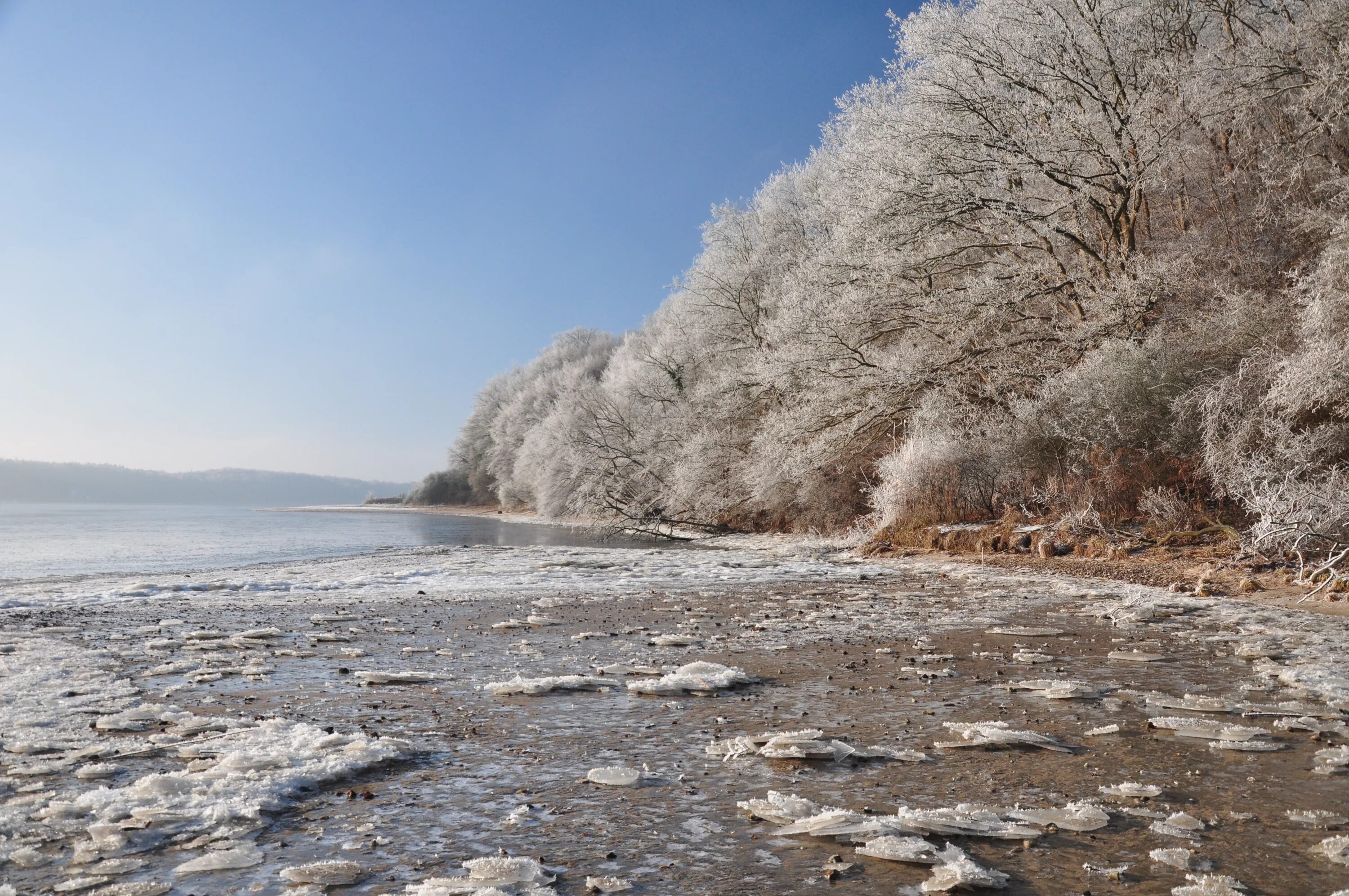 Вода зимой. Зимняя вода река. Морозная река. Побережье моря зимой с рекой.