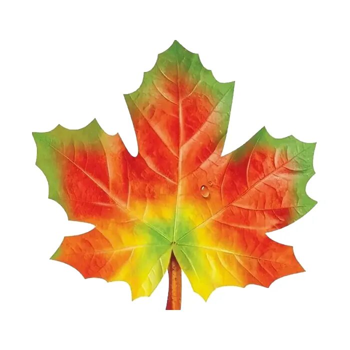Pin by Наталья on Украшения для 1 сентября Fall classroom decorations, Autumn le