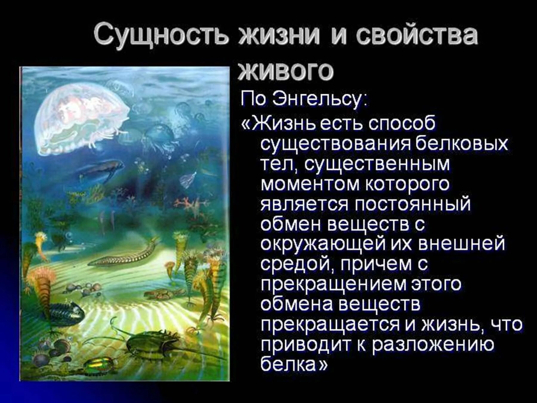 Сущность жизни и свойства живого. Сущность жизни на земле. Сущность жизни биология. Сущность жизни и уровни организации жизни.