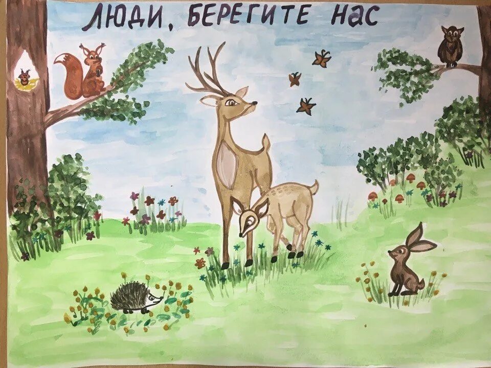Плакат берегите животных окружающий мир. Плакат берегите животных. плакат охрана животных. плат берегить животных. плаать берегитеживотных.