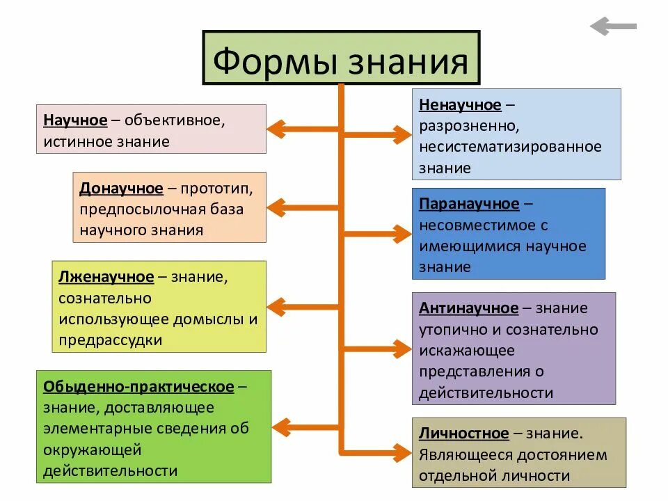 Формы знания. Формы человеческого знания. Формы существования знаний. Формы знания и познания.