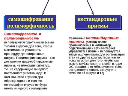 Вирусы содержащие алгоритмы