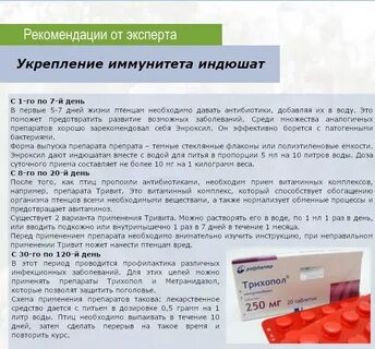 Через сколько можно пить после метронидазола
