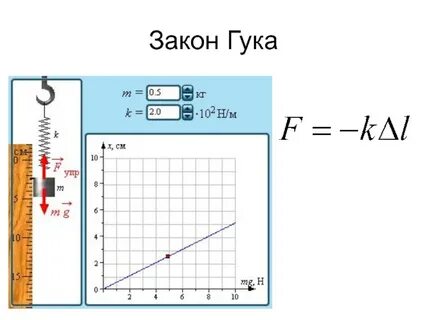 Виды закона гука