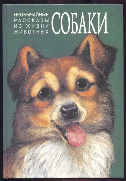 Книги про собак. Книги о собаках для детей. Волк и собака книга. Рассказ собаки книга