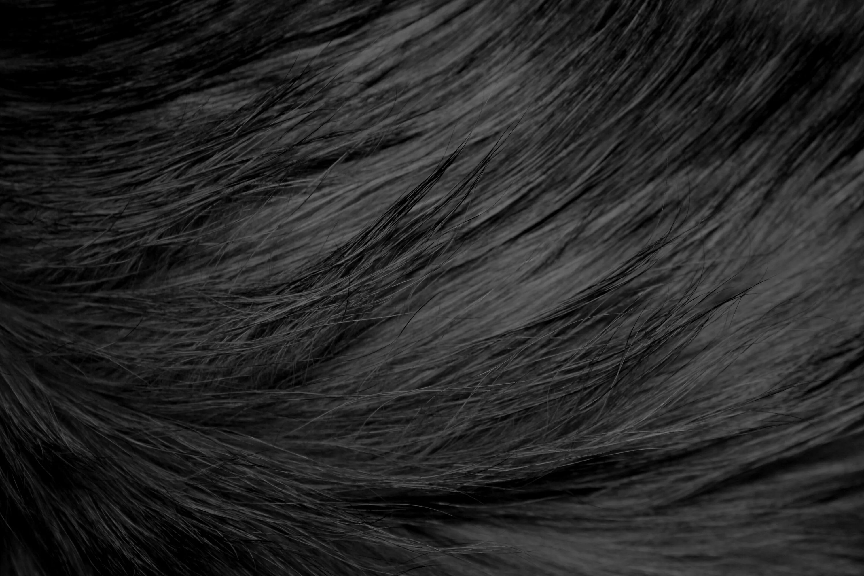 Черные волосы волосатые. Текстура волос. Фактура волос. Черная шерсть. Черные волосы текстура.