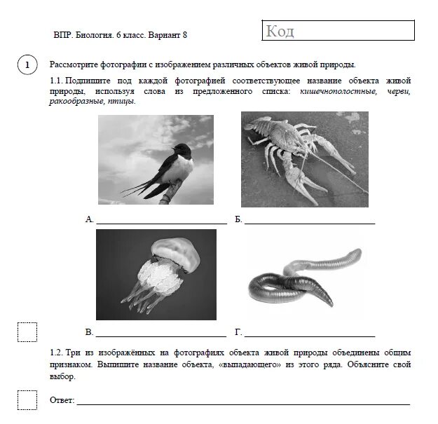 Биология 6 класс ВПР 2020 С ответами. Ответы на ВПР по биологии 6 класс 2021-2022 год. ВПР по биологии 6 класс 2022 год с ответами демоверсия. Варианты ВПР по биологии 6 класс 2022 год с ответами. Решу впр 8 класс биология с ответами