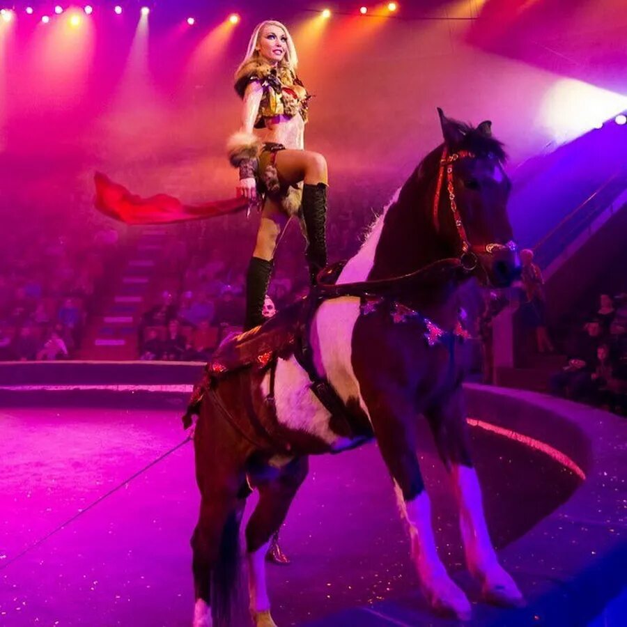 R 34 the amazing circus. Екатерина Запашная. Екатерина Запашная цирк. Эльза Запашная. Татьяна Запашная.
