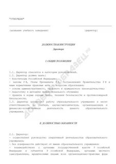 Должностная инструкция директора дополнительного образования
