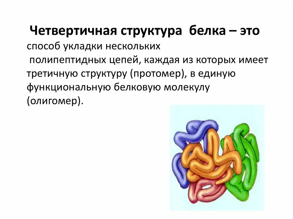 Белки образующиеся соединения. Четвертичная структура белка строение. Третичная и четвертичная структура белка. Четвертичная структура белка схема. Четвертичная структура молекулы белка.