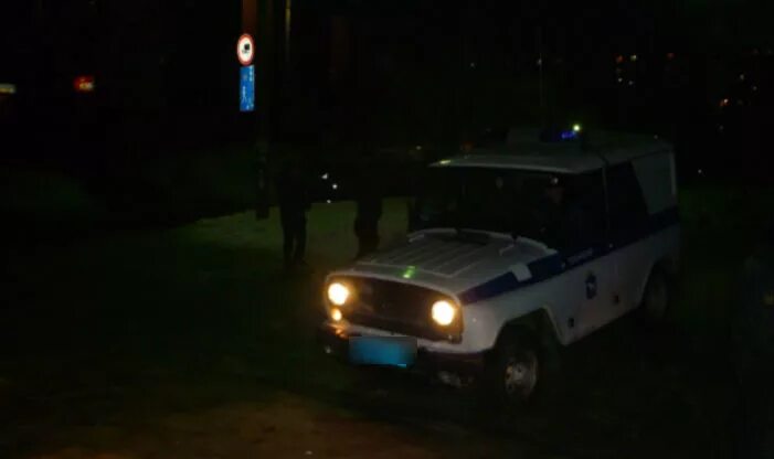 Полиция едет на вызов. Уаз патриот полиция ночью. машина ппс ночью. полиция на улице ночью. полицейская машина у подъезда.