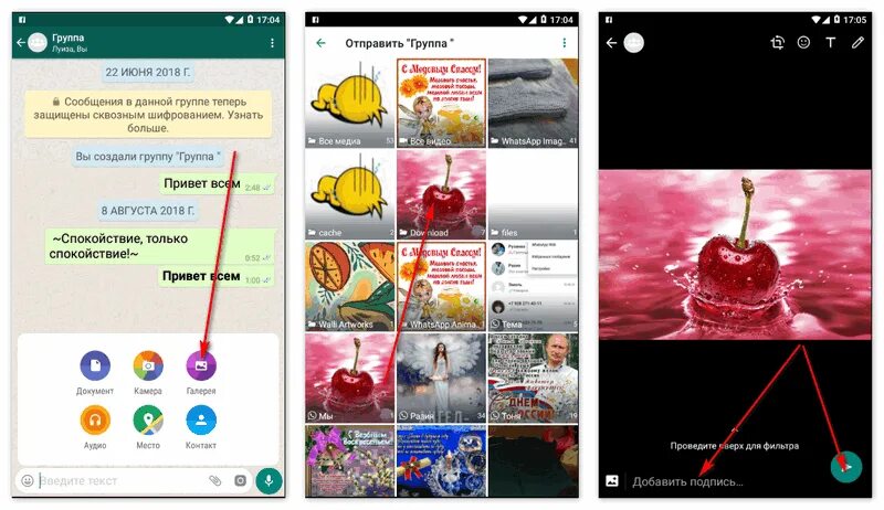 Фото из whatsapp в галерею телефона. Галерея ватсап. Из ватсапа в галерею. Отправить фото в ватсап. Как перекинуть фотографии с ватсапа в галерею.