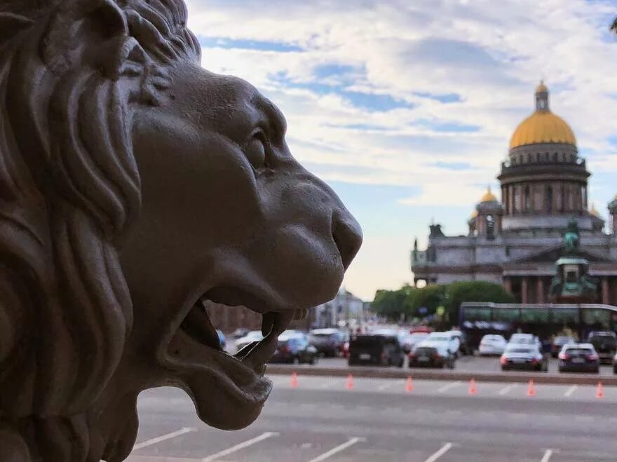 Санкт петербург где львы. Львы Санкт-Петербурга. Каменные львы в Санкт-Петербурге. Львы на набережной в Санкт-Петербурге.