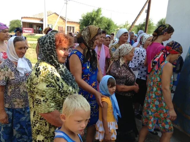 Погода в вислом семикаракорский район. Хутор Золотаревка Семикаракорский район. Хутор Золотаревка Семикаракорский район Ростовская область. Слободской Семикаракорского района. Х Вислый Семикаракорский район.