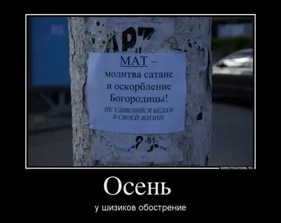 Демотиваторы без мата