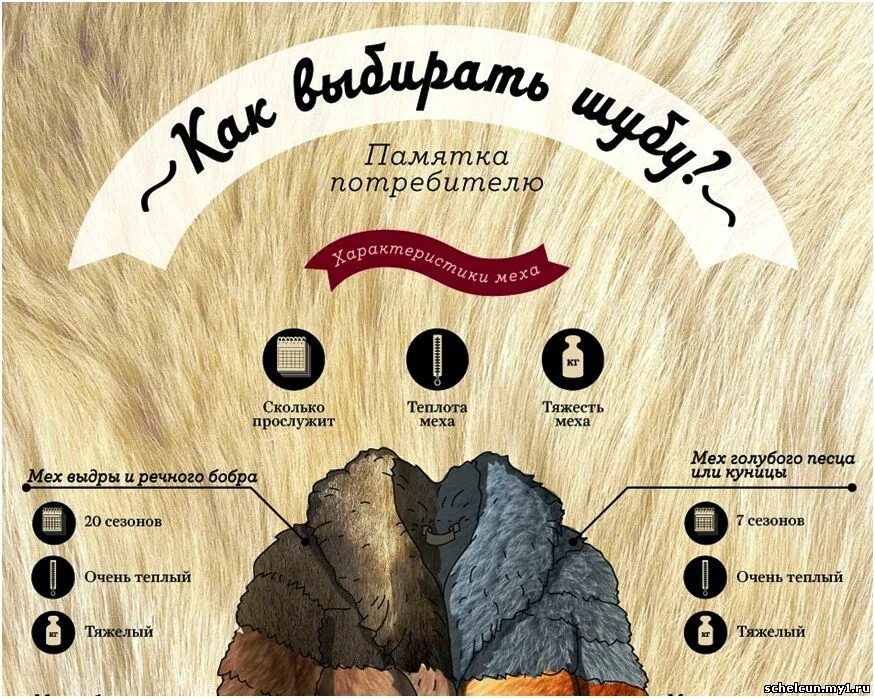 какой мех самый теплый и ноский. носкость меха таблица. мех по износостойкости таблица. какой мех самый теплый и ноский. самые теплые шубы из какого меха таблица.