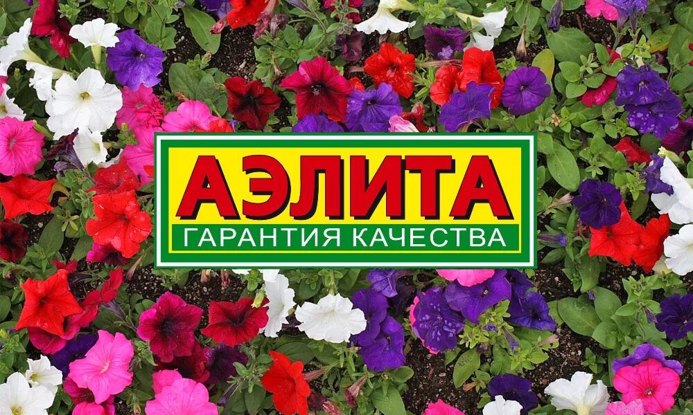 Земляк аэлиты 9 букв