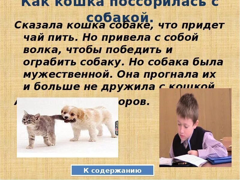 Я хочу рассказать о собаке. Сказка про кошку и собаку. Придумать сказку о кошке или собаке. Придумать рассказ о животных 2 класс. Придумать сказку про кошечку.