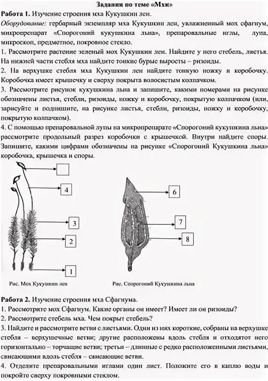 Рассмотрите изображения кукушкин лен ламинария баклажан