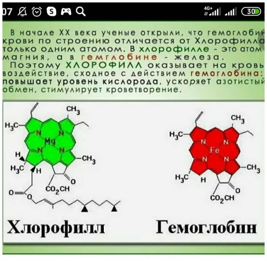 Особенности хлорофилла