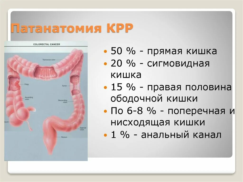 Онкомаркеры кишечника и прямой кишки. Онкомаркер для кишечника и прямой кишки. Онкомаркеры заболеваний кишечника. Онкомаркер сигмовидной кишки. Дисплазия низкой степени толстой кишки что это