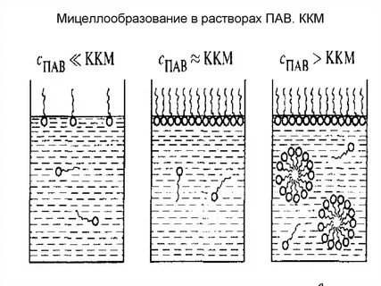 Критическая концентрация мицеллообразования ккм