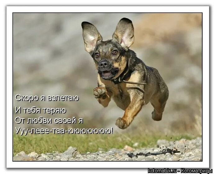 взлетаю и тебя теряю. улетаю текст. фотосессия с самолетом. не могу без тебя. я скоро прилечу.