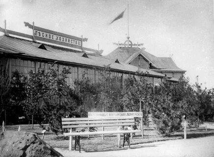 1900 см