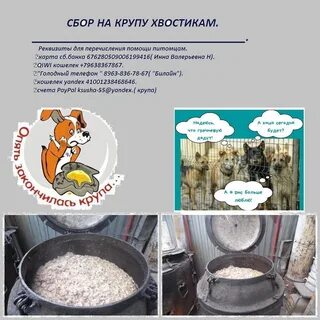 Какие каши можно собакам крупных пород