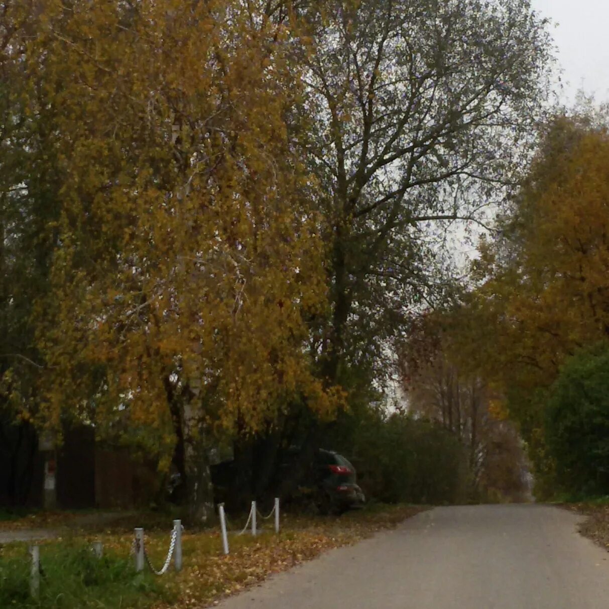 Калиновка ленинский. Деревня калиновка ленинский район. Телегина поселок калиновка ленинский район. Калиновка ленинский. Крым ленинский район село калиновка.