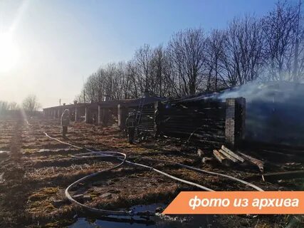 Апрель ленинградская