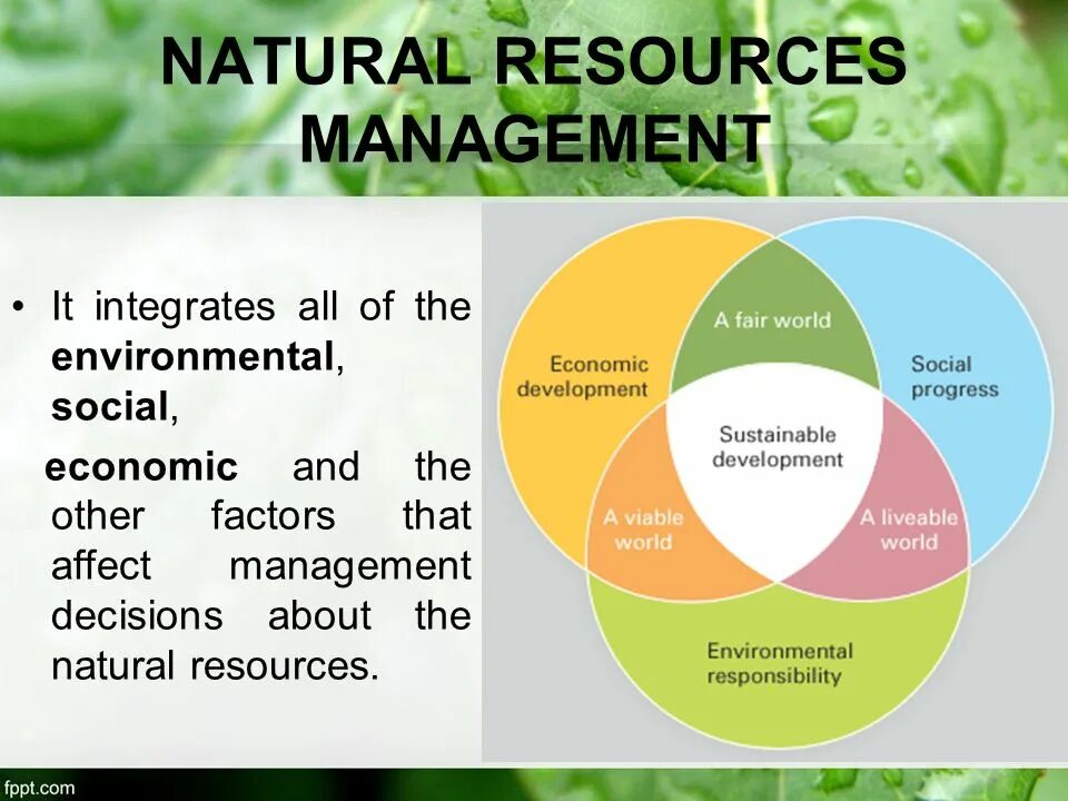 Many natural resources. Classification of natural resources. Природные ресурсы. Natural resources and environment. Природные ресурсы на английском.