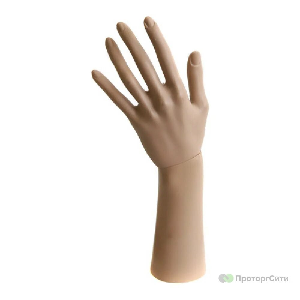 Купить пластиковые руки. Рука манекена. Пластиковая рука манекен. Манекен руки для перчаток. Пластиковая рука человека.