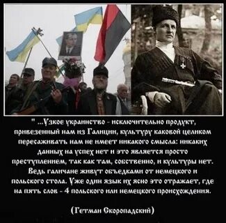 Афоризм поляки
