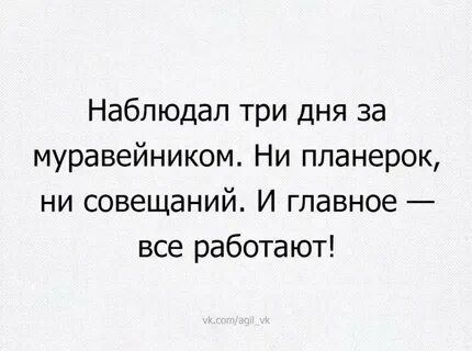 День взглянуть