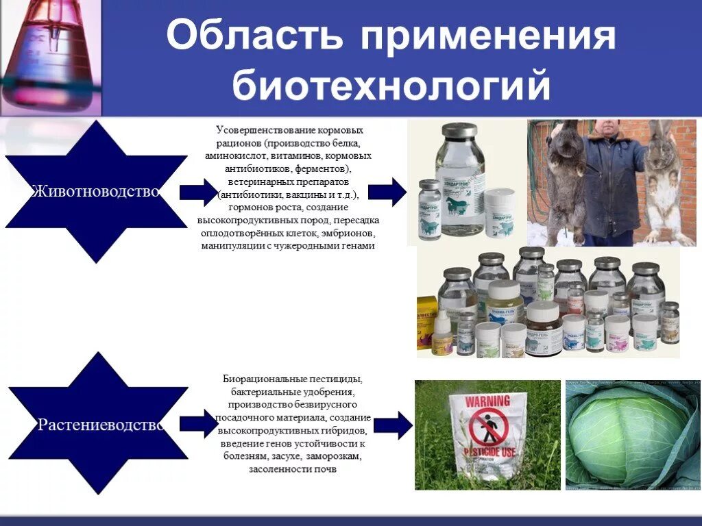 Биотехнология получения белка. Области применения биотехнологии. Сферы применения биотехнологий. Применение биотехнологий. Биотехнологическое производство.