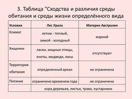 Чем условия отличаются от среды