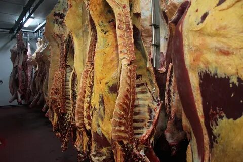 Мясо говядины полутуши