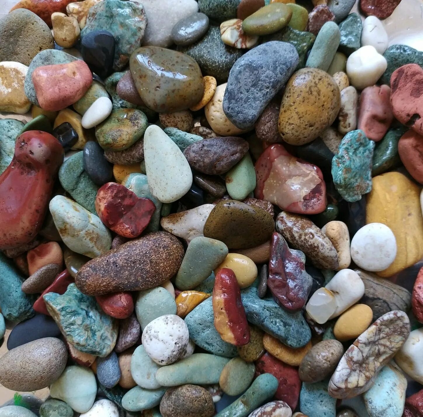 Морские камни купить. Разноцветные камни. Разноцветные морские гальки. Камни морская галька. Разноцветная морская галька.