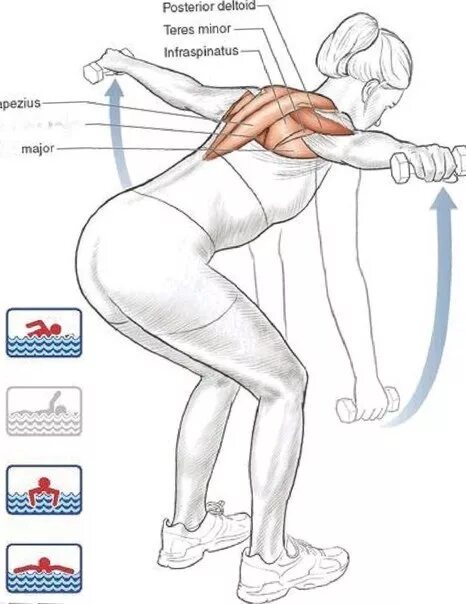 Упражнения Кифута для пловцов на суше. Силовые упражнения для пловцов. Упражнения для пловцов в тренажерном зале. Упражнение пловец для спины.
