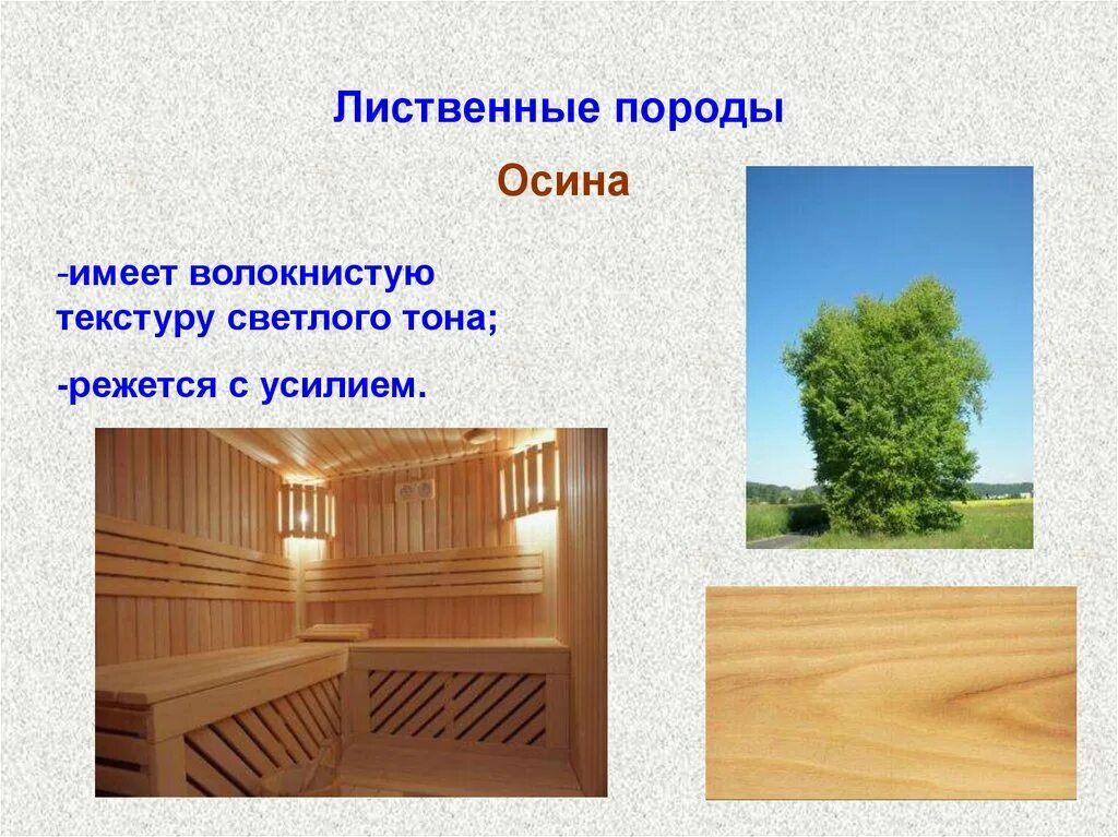 Презентация на тему древесины. Древесина и древесные материалы. пиломатериалы и древесные материалы. древесина пиломатериалы и древесные материалы. древесные материалы презентация.