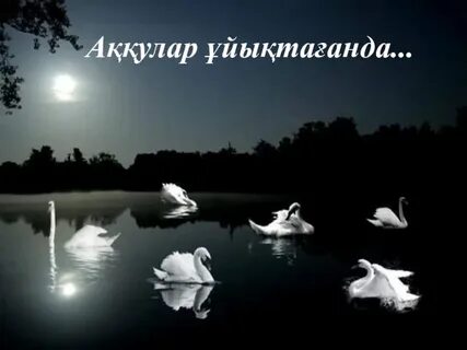 Волгоградтағы арзан жезөкшелер