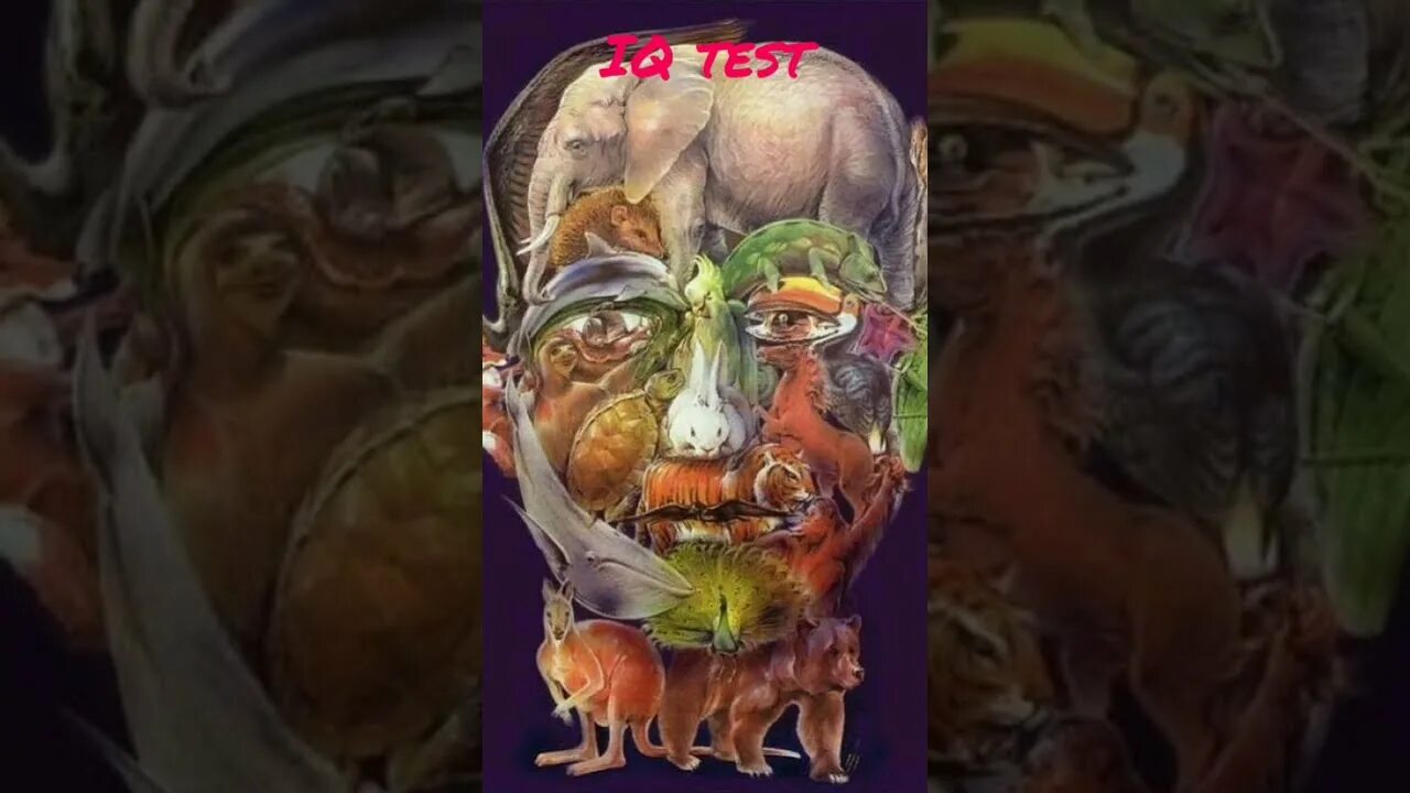 Лицо из животных найти верблюда ответ. Найти верблюда на картинке.