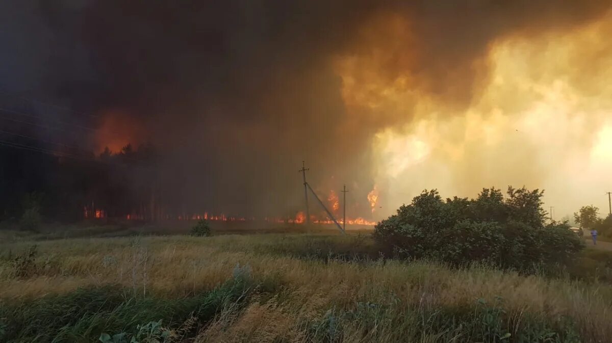 Пожар в д лесная. Лесные пожары в Воронеже. Село Черкасское Павловского района Воронежской области пожар. Пожар в лесу Воронеж. Пожары лесов в Воронежской область 2020 год.